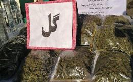 کشف 200 کیلوگرم گل در عملیات مشترک پلیس